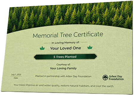 Plant Trees in Memory of Rossie Simmons